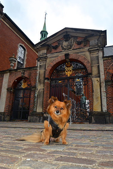 Copenhagen City Hall