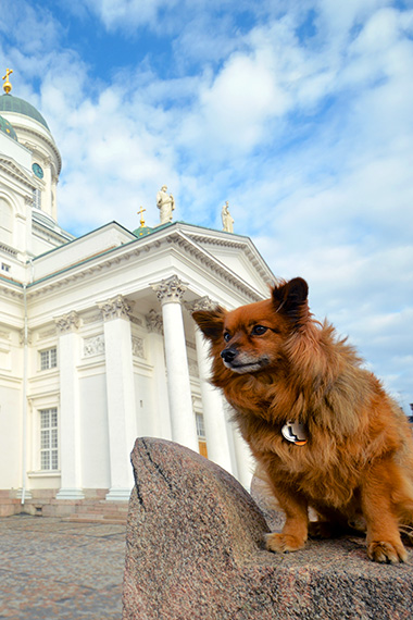 helsinki cathedral