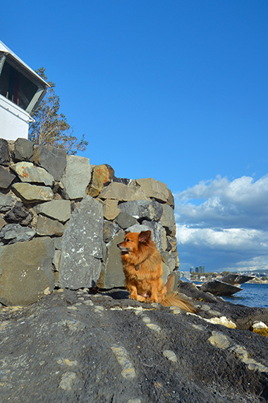 NORSK MARITIMT MUSEUM