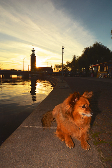 STOCKHOLM CITY HALL